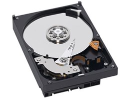 WD1000FYPS (1TB SATA300)