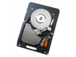 HUS151414VLS300 (147G 15000 SAS)