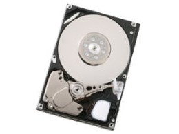 HUC101473CSS300 (73G 10000 SAS)