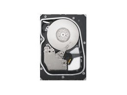 ST373455SS (73G 15000 SAS)