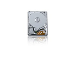 MK8017GSG (80GB 8mm)