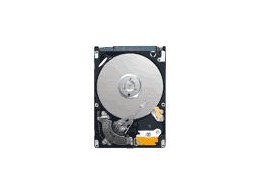 ST9160827AS (160GB 9.5mm)