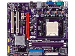 GeForce6100PM-M2 (V2.0)