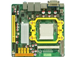 NC81-LF