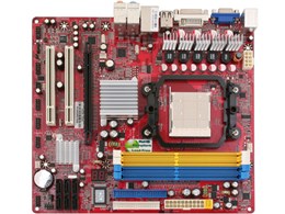 PI-AM2RS780G