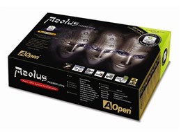 Aeolus FX5950Ultra-DVC256 (AGP 256MB)