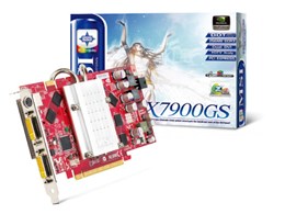 NX7900GS-T2D256EZ (PCIExp 256MB)