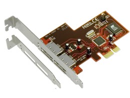 PL-SA100PE (eSATA)