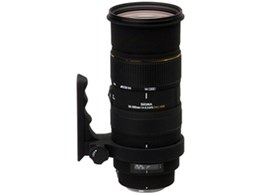 APO 50-500mm F4-6.3 EX DG HSM (̫ޗp)