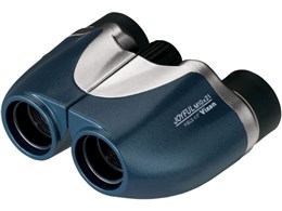 WCt M10x21