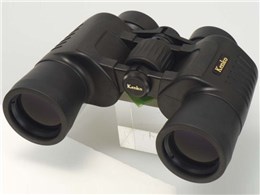 A[gX 12x42W