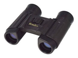 PR[ M-Model 8x22DH M 011911