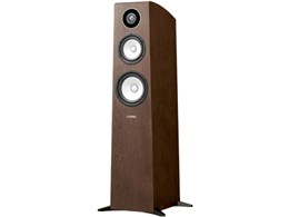 NS-F700 [Pi]