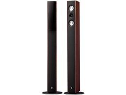 NS-F310 [Pi]