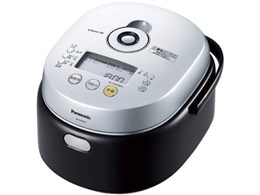 SR-SV101P
