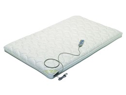 NAIS GA[}bT[W}bg y EU3100