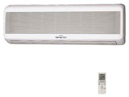 RAS-289MX1