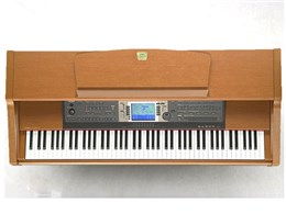 Clavinova CVP-204