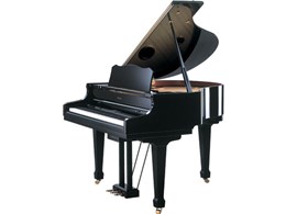 Roland Piano Digital RG-7