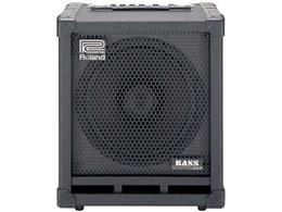 CUBE-100 BASS