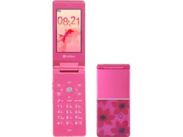 SoftBank 821N