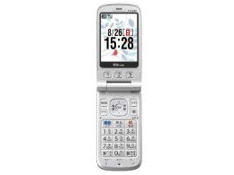 ȒPP[^C A5528K