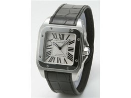 W20073X8 TgX 100 (Vo[)