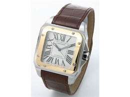 W20072X8 TgX 100 iVo[j