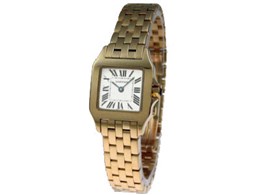 W25063X9 TgX hD[ SM NH[ciVo[j