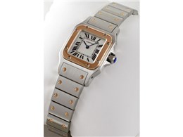 W20103C4 TgXKx SM NH[c (zCg)