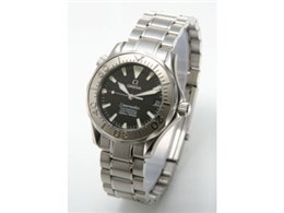 2236.50 V[}X^[ 300m iubNj