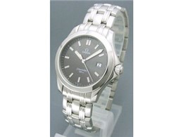 2511.43 �V�[�}�X�^�[ 120m �N�H�[�c(�O���[�j