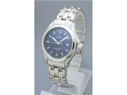 2571.83 �V�[�}�X�^�[ 120m �N�H�[�c�i�u���[�j