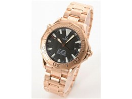 2136.50 V[}X^[ 300m _Co[ Nm[^[ iubNj