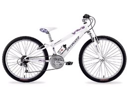 05 Hotrock 24 21speed girl