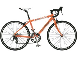 07 LGS-REN4