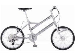 08 �O���C�V�A ���[��