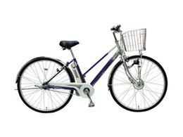 GiNSR CY-SR273DB + p[d