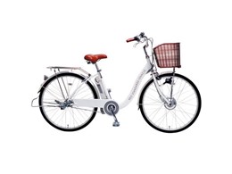GiNSPE CY-SPE24DK + p[d
