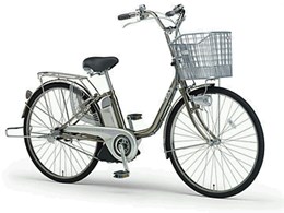 New PAS `EL PZ24LL + p[d