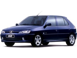 �v�W���[ 306
