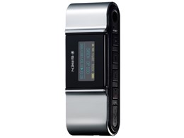 DP100 [2GB]