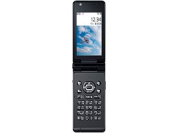 docomo SMART series P-01C