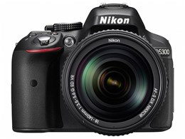 FE6KT254DBニコン　Nikon D5300 + 18-55mm VR ≪S数2009回≫