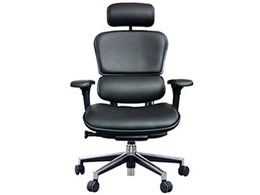 Ergohuman Basic EH-HAL