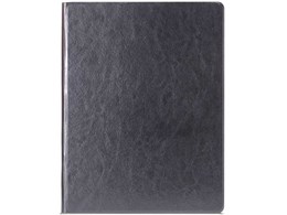 LEPLUS PRIME 360 LP-IPPL