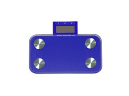 PRISMATE �҂��� mini plus BGO-11