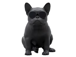 AeroBull XS1