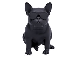 AeroBull HD1