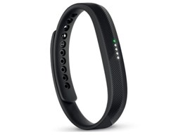 Fitbit Flex 2 FB403-JPN